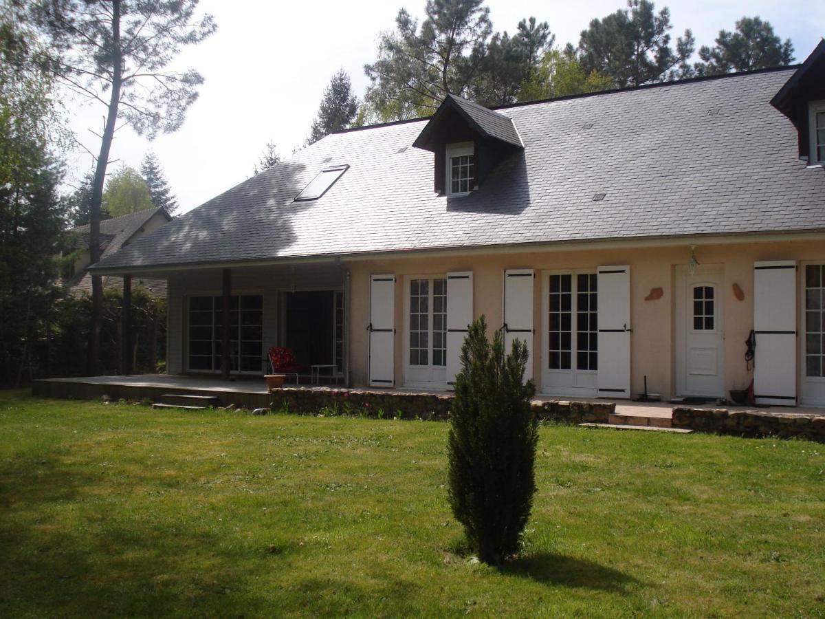 B&B La Foret De Charmeuse Ruaudin Exterior foto